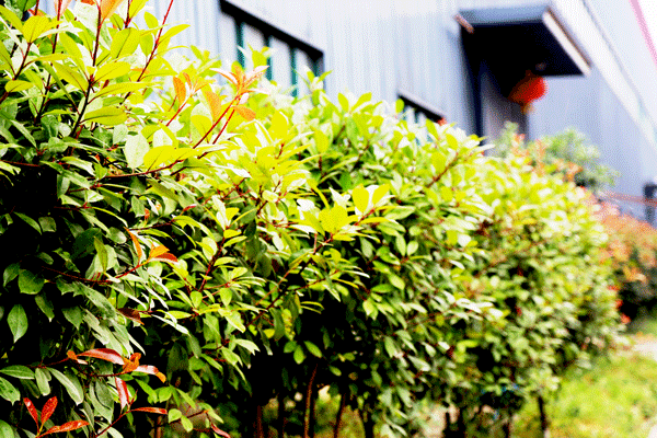 天然居硅藻泥第22期營(yíng)銷(xiāo)培訓(xùn)圓滿(mǎn)結(jié)業(yè)